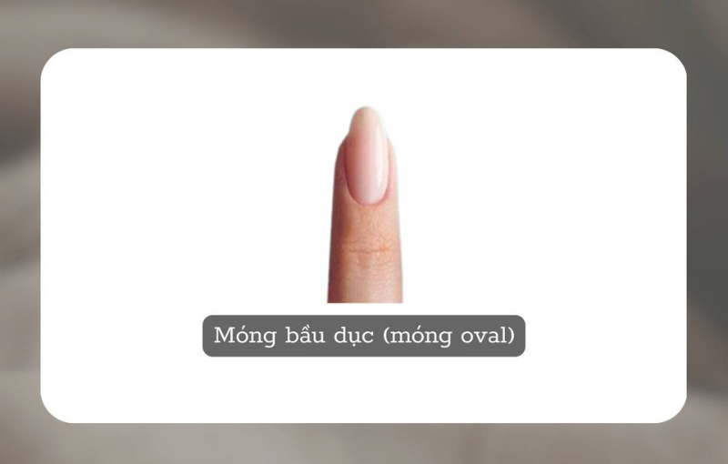 Móng bầu dục (móng Oval)