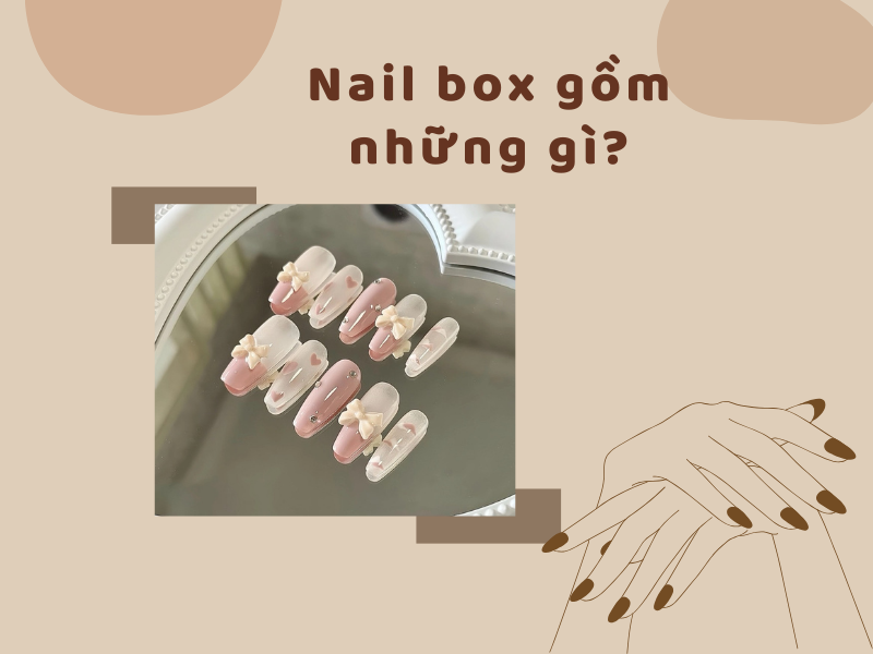 nail box bao gồm loại nào