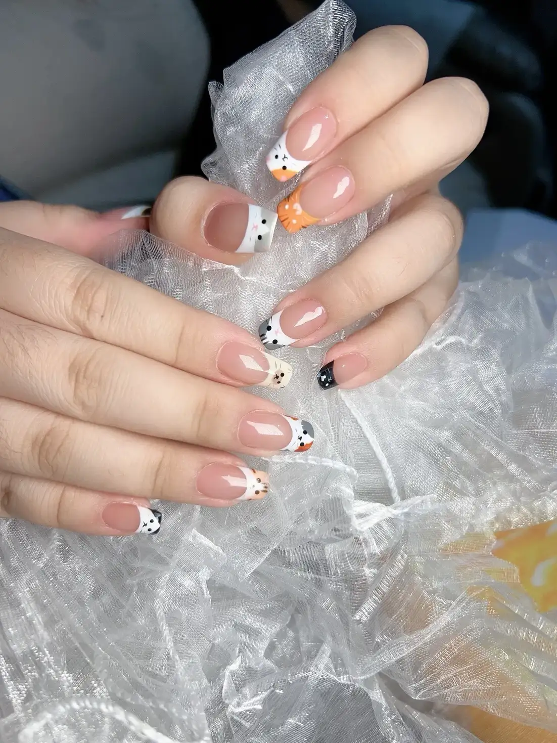 mẫu nail con mèo oang dã