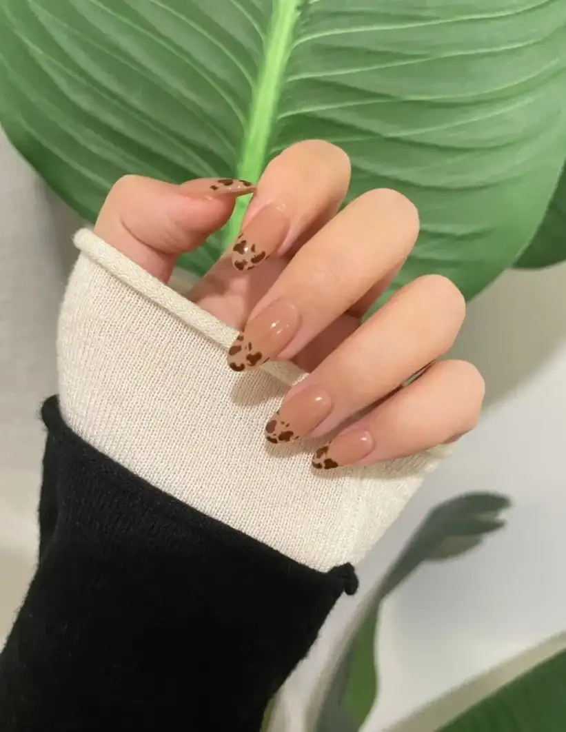 nail móng bầu hoàn cảnh