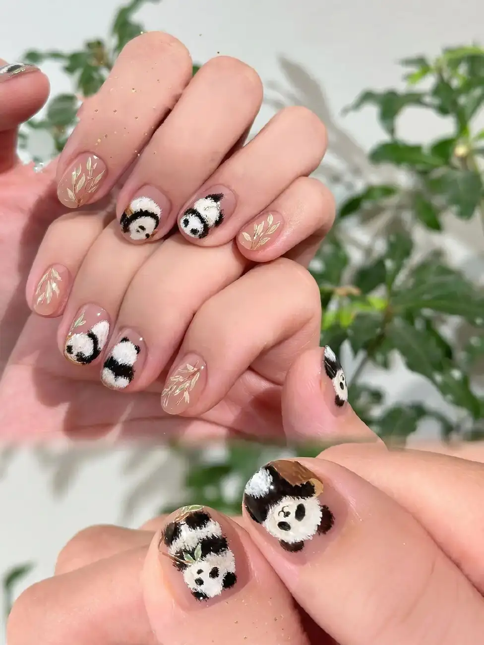 nail hình gấu trúc sang trọng