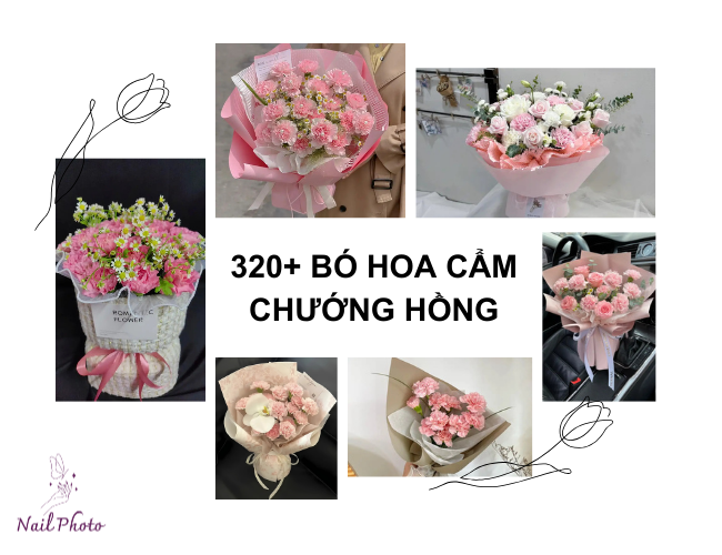 mẫu bó hoa cẩm chướng hồng