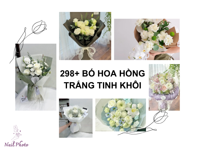 Bó hoa hồng trắng