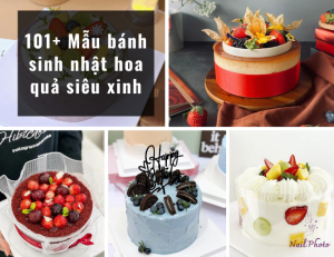 101+ Mẫu bánh sinh nhật hoa quả siêu xinh và sang trọng