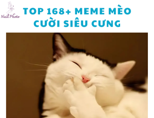 Top 168+ meme mèo cười nhe răng haha, nhếch mép đểu nhất