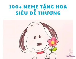 100+ ảnh meme tặng hoa cute, meme con mèo tặng hoa mới nhất