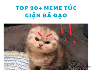 Top 90+ ảnh meme tức giận cute, hài hước, giận meme bá đạo