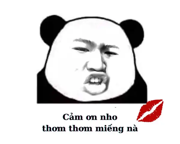 hình ảnh cảm ơn meme hài hước 3