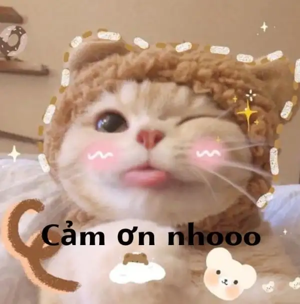 hình meme cảm ơn nháy mắt cute