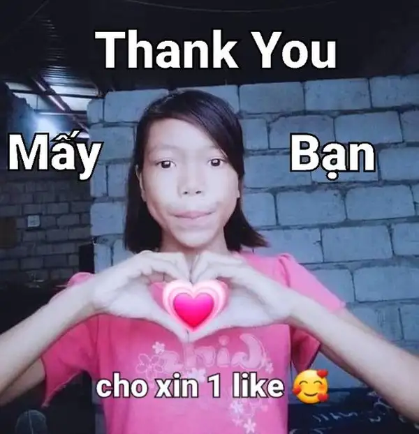 ảnh cảm ơn meme 1 0 2