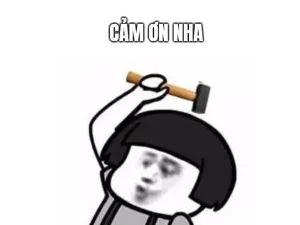 Tải ngay 200+ hình ảnh meme cảm ơn cute lầy lội nhất