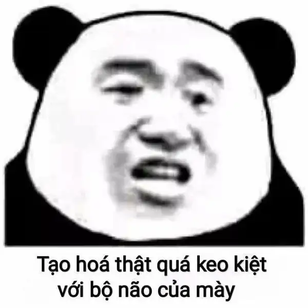 meme gấu trúc mắt thâm keo kiệt