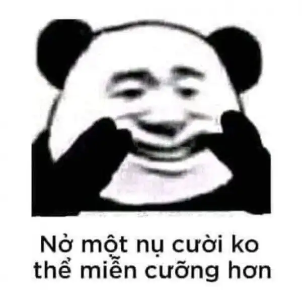 meme gấu trúc trung quốc nở nụ cười 