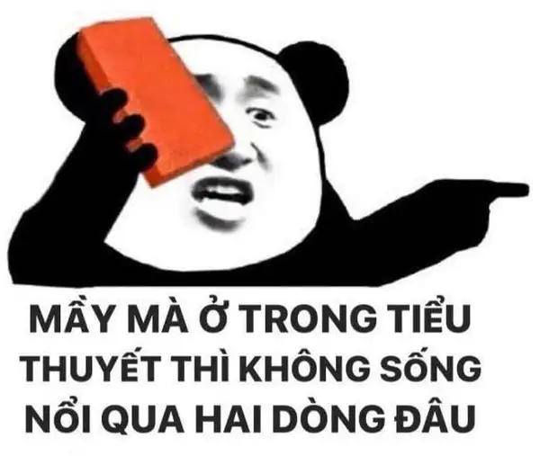 meme gấu trúc bựa weibo cầm gạch