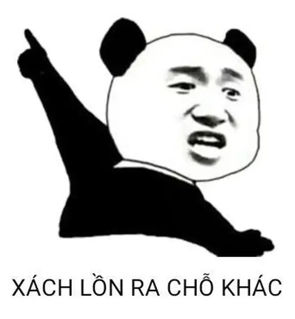 ảnh meme gấu trúc bựa đuổi người