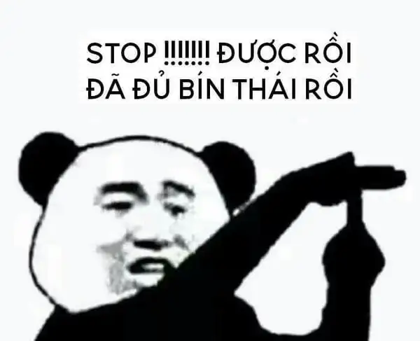 meme gấu trúc mắt thâm biến thái