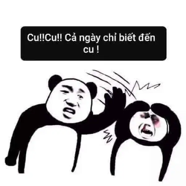 meme gấu trúc bựa 3