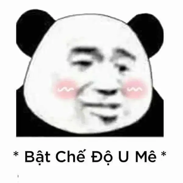 meme gấu trúc cute u mê