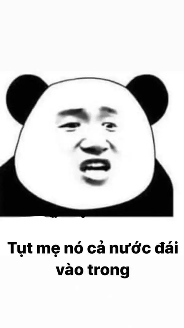 ảnh meme gấu trúc hài tụt mẹ nó cả nước đái vào trong