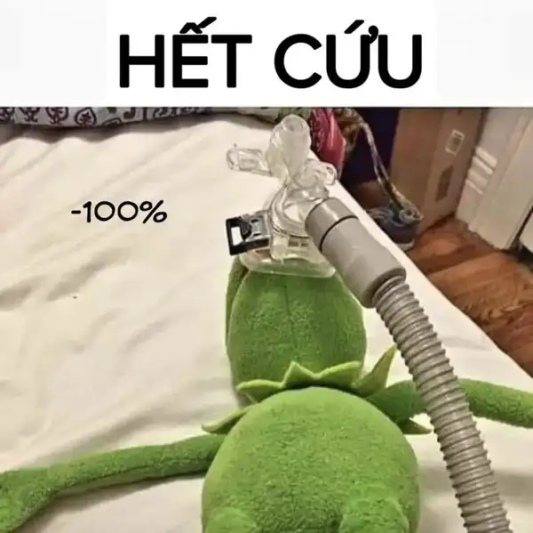 ảnh meme hết cứu -100%