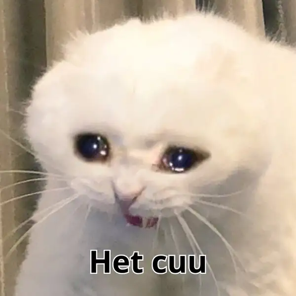 meme hết cứu đau khổ