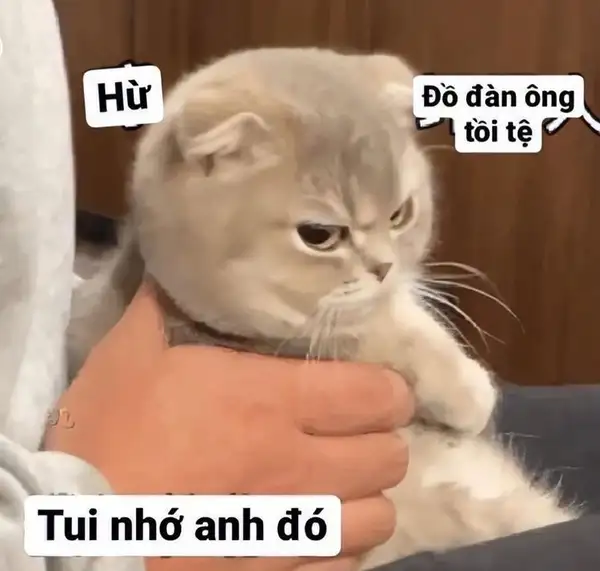 ảnh meme về tình yêu hờn dỗi