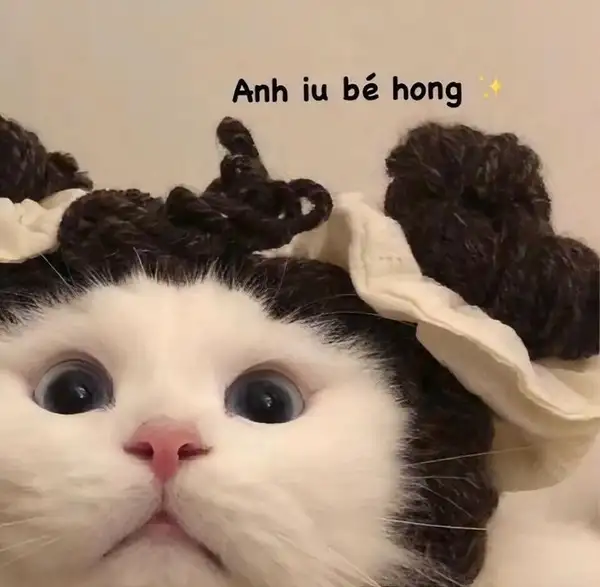 cute ảnh meme tình yêu không lói thoát