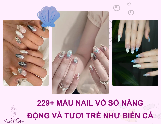 Nail vỏ sò
