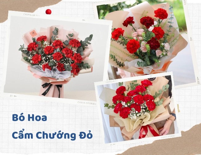 Tuyển chọn 99+ bó hoa cẩm chướng đỏ đẹp rực rỡ và ý nghĩa