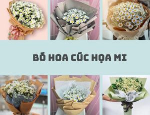 111 hình ảnh bó hoa cúc họa mi tinh khôi đẹp mắt, ý nghĩa 