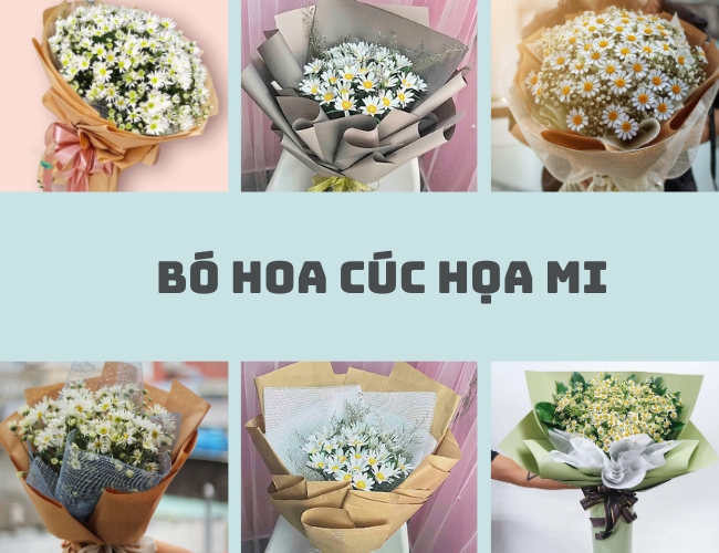 hình ảnh bó hoa cúc họa mi