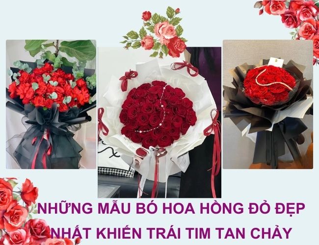 Những bó hoa hồng đỏ đẹp nhất
