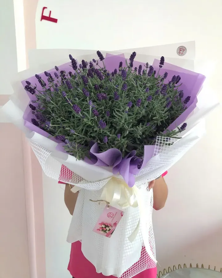 bó hoa lavender tươi 4