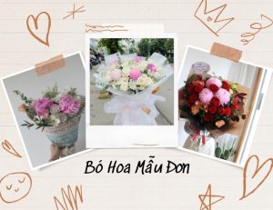 200+ mẫu bó hoa mẫu đơn đẹp nhất, sang trọng, nhiều may mắn