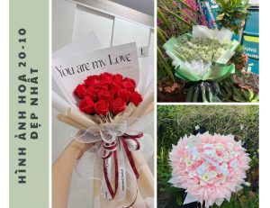 70+ hình ảnh hoa 20/10 đẹp nhất, món quà tinh tế cho phụ nữ