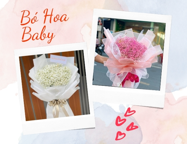 Top 99 Mẫu Bó Hoa Baby Xinh Xắn, Đáng Yêu Cho Mọi Dịp