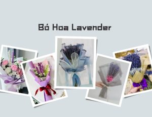 Tổng hợp 90+ mẫu bó hoa lavender tươi mát và đầy ý nghĩa