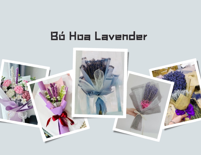 Tổng Hợp 90+ Mẫu Bó Hoa Lavender Tươi Mát Và Đầy Ý Nghĩa