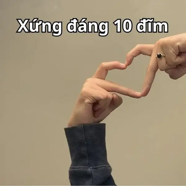 10 điểm không có nhưng meme yêu thương