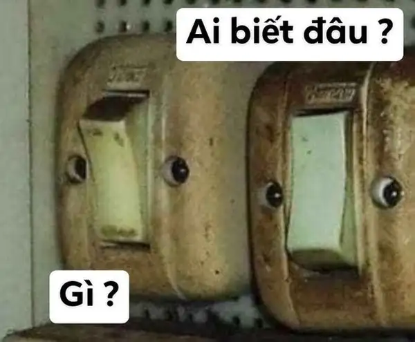 meme ai biết gì đâu hài hước