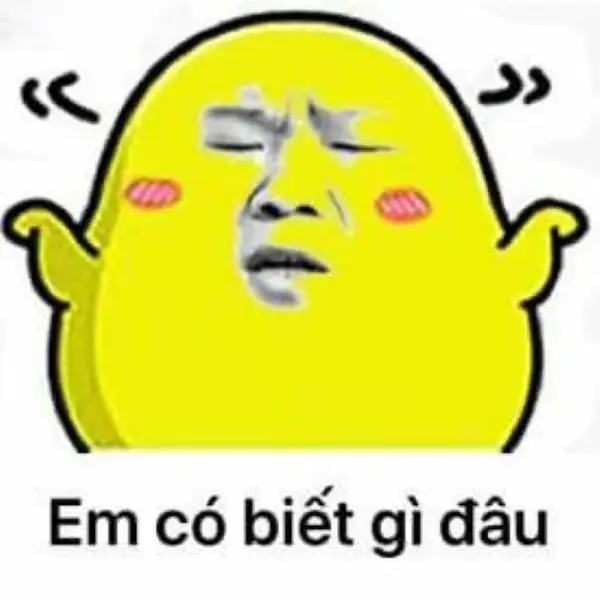 em biết gì đâu meme