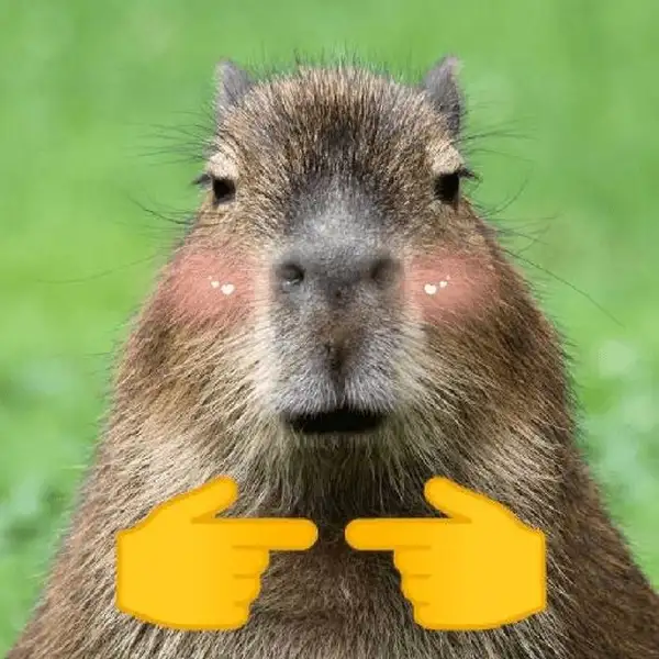 meme capybara đáng yêu