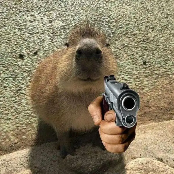 meme capybara hăm dọa