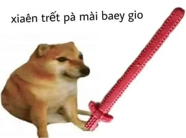 đánh nhau meme con chó