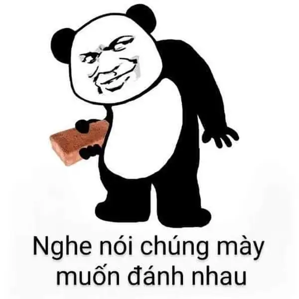 đánh nhau meme gấu trúc