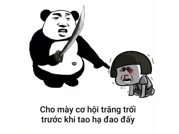 meme đánh nhau của gấu trúc