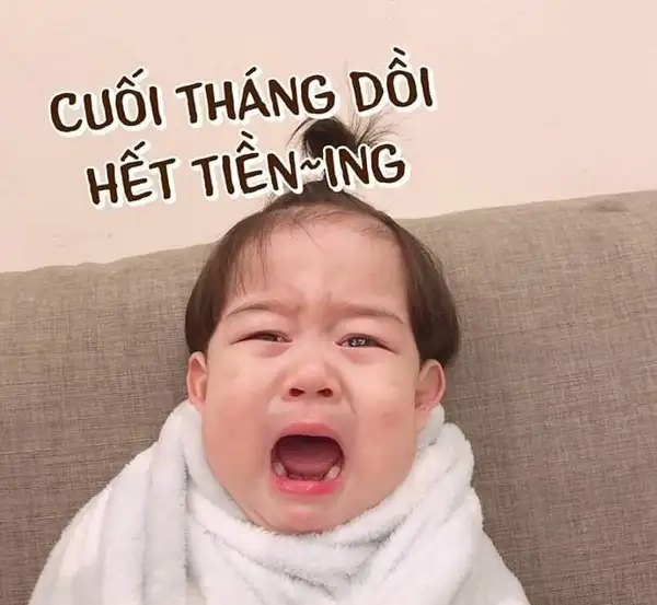 meme cuối tháng hết tiền