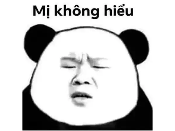 meme mị ko hiểu 