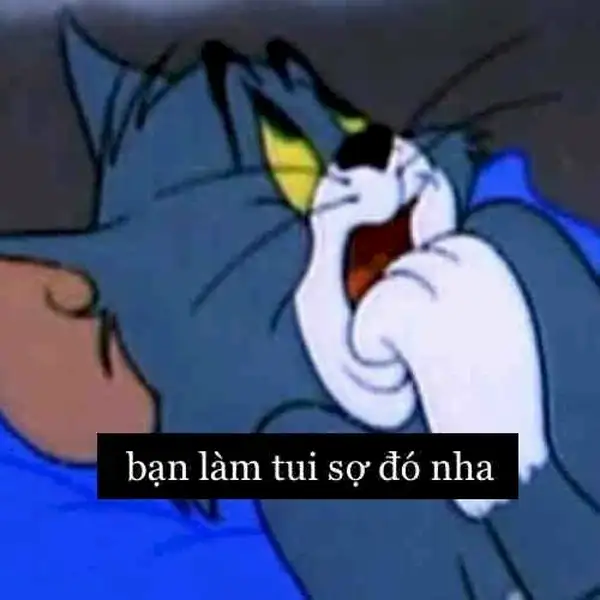 meme con mèo Tom sợ hãi