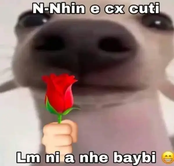 meme chó tặng hoa cuti